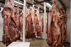 Fehdan Meat Processing