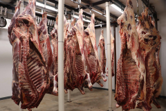 Fehdan Meat Processing
