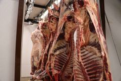 Fehdan Meat Processing