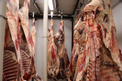 Fehdan Meat Processing