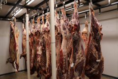 Fehdan Meat Processing