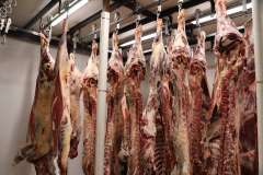 Fehdan Meat Processing